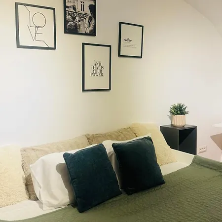 Cozy In Center Timişoara