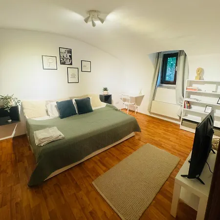 Cozy In Center * Timişoara