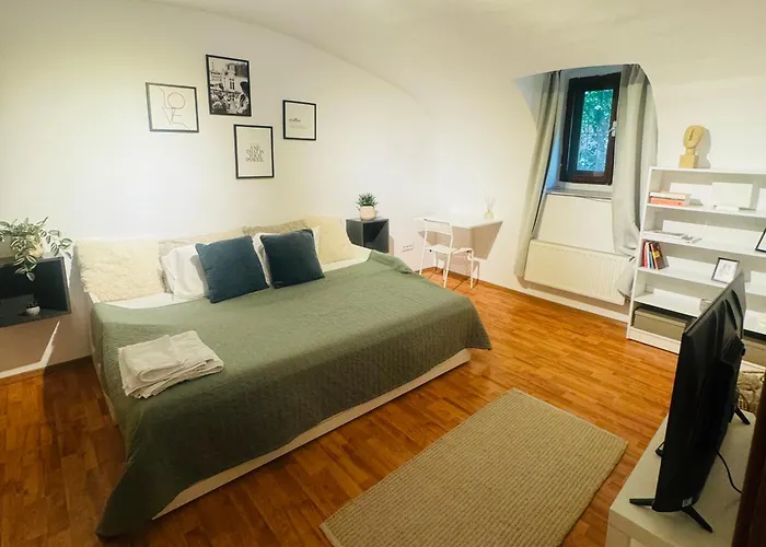 Cozy In Center * Тімішоара