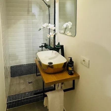 Cozy In Center * Timişoara