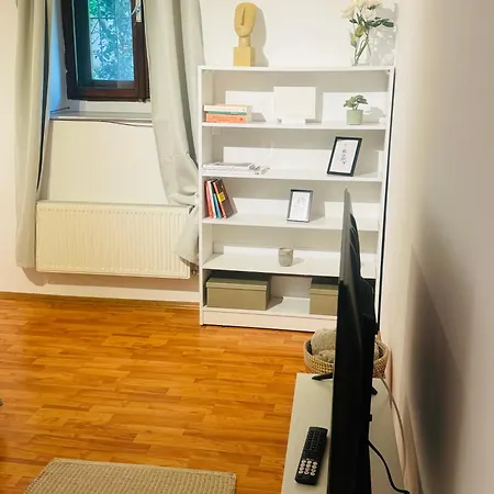 Cozy In Center Apartment *