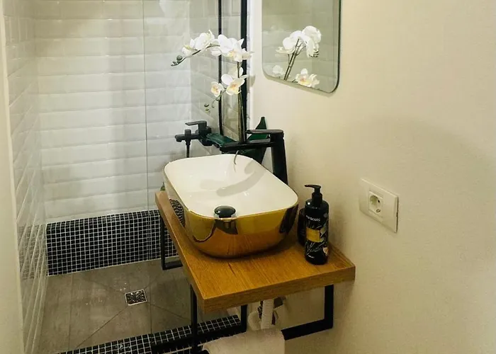 Cozy In Center * Timişoara